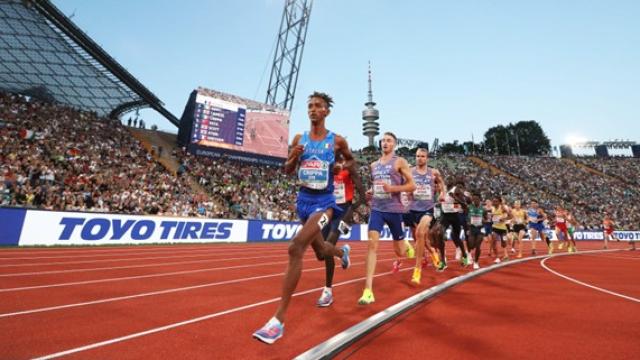 Toyo Tires advertisement at European Athletics Championships in Munich 2022